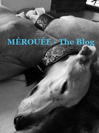 MÉROUÉE - The Blog